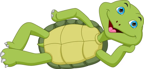 Grappige Schildpad Cartoon Geïsoleerd Witte Achtergrond — Stockvector