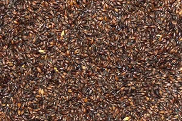 arka plan olarak çikolatalı malt