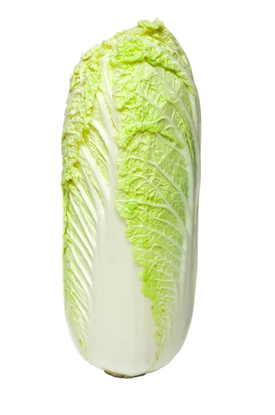 Chinese cabbage on white background — Stock Photo, Image