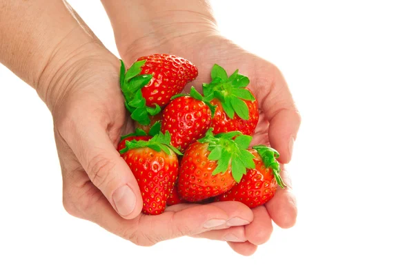 Fresh strawberries in hand — Stock Photo, Image