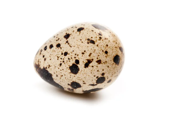 Quail egg — Stock Photo, Image