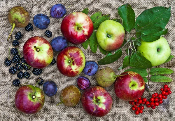 フルーツおよび果実のクローズ アップ — ストック写真