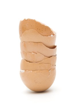 beyaz zemin üzerine yumurta kabuğu