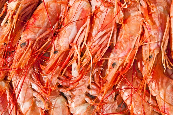 Shrimps — Stock Photo, Image