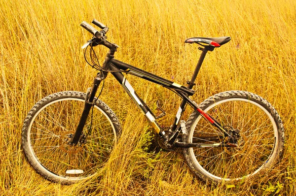 Bike among the tall grass — Stock Photo, Image