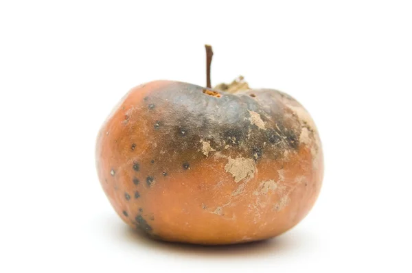 Гнилое яблоко, изолированное на белом — стоковое фото
