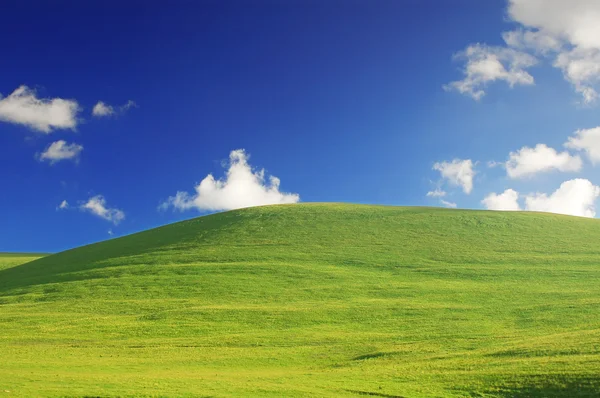 Prados e céu azul — Fotografia de Stock