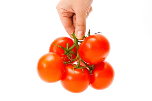 Röd, friskhet tomater i hand — Stockfoto