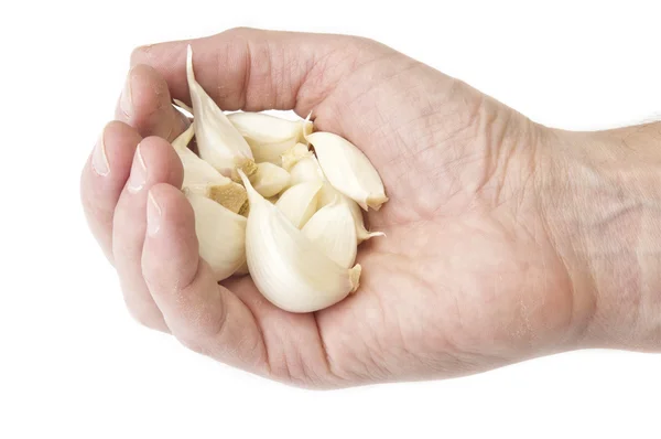 Pieces of garlic in hand — Stock Photo, Image