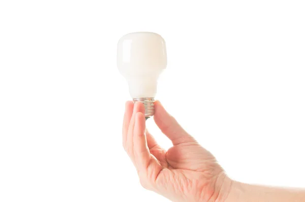 Bulb in hand on white background — Stock Photo, Image