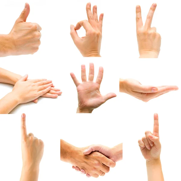 Ellerin ayarlama hareketleri