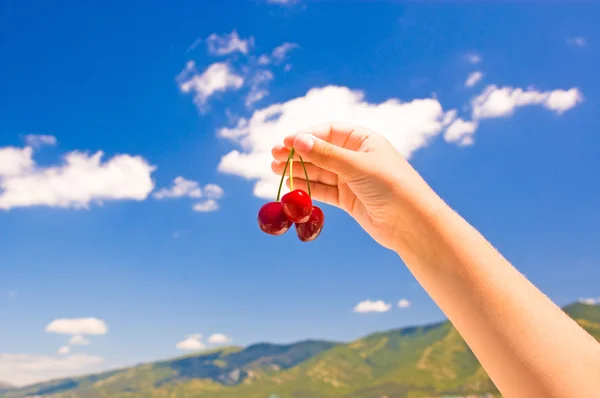 Mano sosteniendo cereza fresca — Foto de Stock