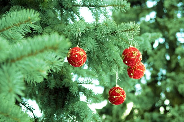 Rode kerstballen — Stockfoto