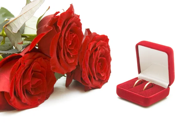 Rode rozen en trouwringen — Stockfoto