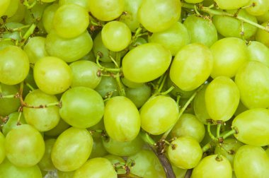 arka planı Yeşil üzüm