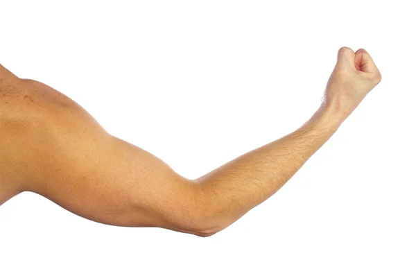 Man's muscular arm on white background — Stock Photo, Image