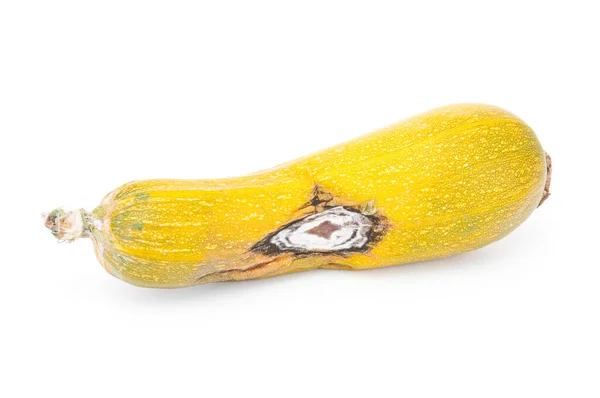 Zucchini Rancid Close White Background — Stock Photo, Image