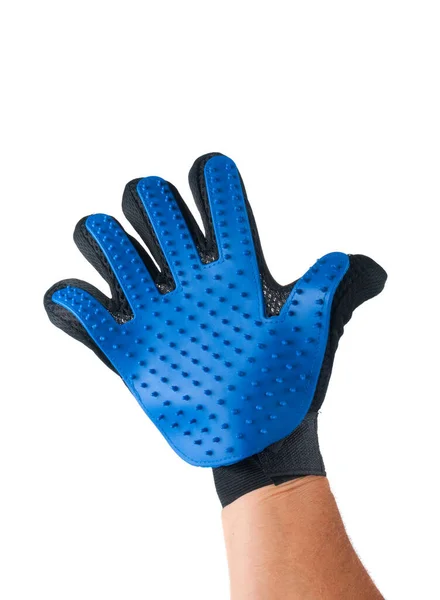 Hand Met Handschoen Voor Huisdier Verzorging Witte Achtergrond — Stockfoto