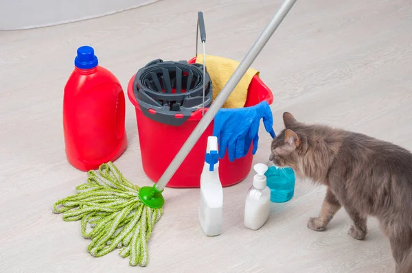 House Cleaning Cat Bucket Rubber Gloves Chemical Bottles Mopping Stick — Stok fotoğraf