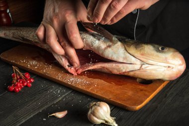 Aşçı mutfakta gümüş sazan balığı hazırlıyor. Şef balığın üzerine tuz serper. Mutfak masasında çalışma ortamı