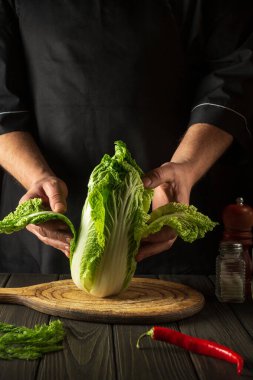 Şef ya da aşçı taze Napa lahana salatası yapar. Restoranın mutfağında dilimleme hazırlığı. Sebze diyeti fikri.