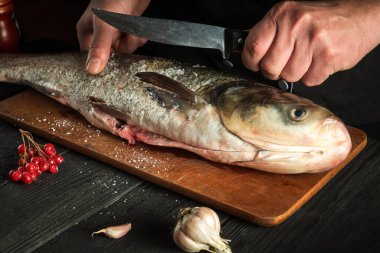 Profesyonel şef mutfakta gümüş sazan balığı hazırlar. Bıçakla balık kesmeye hazırlık. Mutfak masasında çalışma ortamı