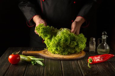 Aşçı Marul 'dan diyet yemek hazırlıyor. Mutfak masasındaki yeşil yaprakları koparmak. Sebze diyeti fikri.