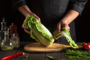 Profesyonel şef ya da aşçı taze Napa lahana salatası yapar. Mutfakta dilimleme için hazırlık. Sebze diyeti fikri