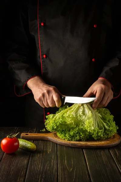 Şef, Marul 'dan diyet yemek hazırlıyor. Mutfaktaki yeşil yaprakları kesmeye hazırlanıyorum. Sebze diyeti fikri.