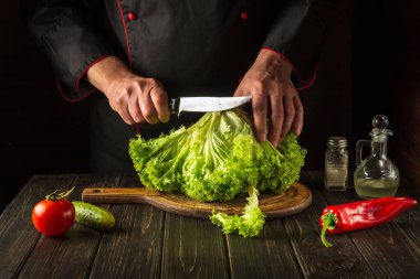 Şef mutfaktaki vejetaryen yemekleri için marul bıçağıyla kesmeye çalışıyor. Aşçının elleriyle nefis sebze salatası.