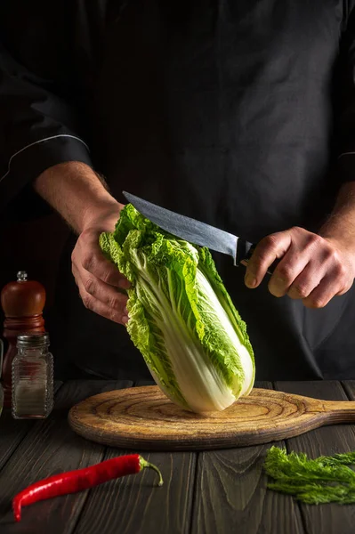 Profesyonel şef taze Napa lahanasını bıçakla doğruyor. Antika mutfak masasında salata için taze sebzelerle birlikte. Aşçılık ve restoran veya otel konsepti