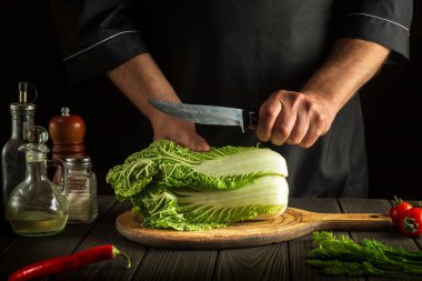 Şef mutfak masasında taze sebzelerle birlikte salata için taze Napa lahanasını bıçakla keser. Yemek ve restoran veya kafe konsepti.