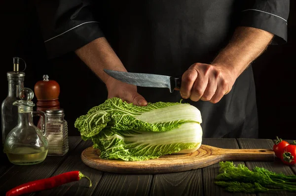 Şef mutfak masasında taze sebzelerle birlikte salata için taze Napa lahanasını bıçakla keser. Yemek ve restoran veya kafe konsepti.