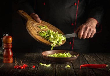 Şef taze lahana salatası hazırlıyor. Diyet kahvaltı ya da akşam yemeği fikri. Büyük mutfak..