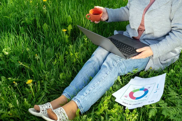 Freelancing Outdoors Garden Woman Laptop Works Lawn Idea Effective Business — Fotografia de Stock