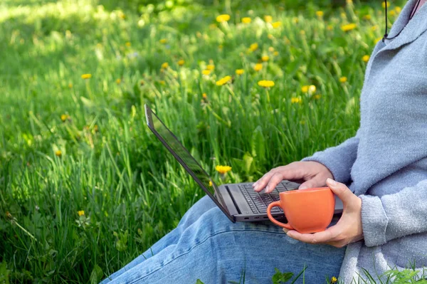 Woman Laptop Lawn Doing Business Summing Quarterly Report Idea Effective — Fotografia de Stock