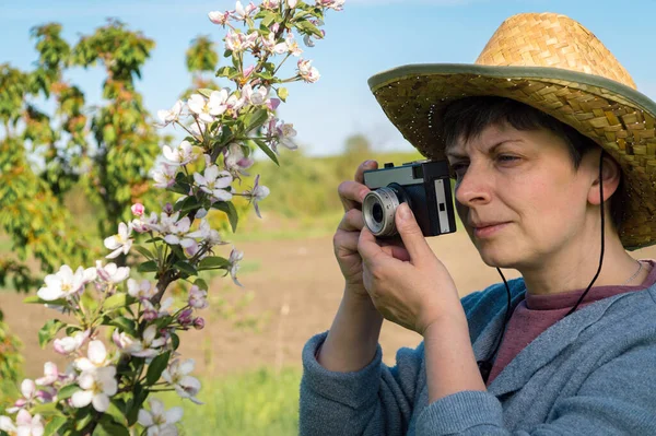 庭のリンゴの木の花の枝を撮影するヴィンテージカメラ付きのわら帽子の中年女性 — ストック写真