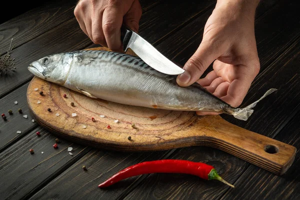 Fish chef cuts mackerel or scomber with knife on kitchen cutting board before cooking with spices and pepper.
