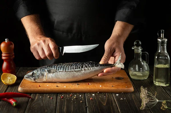 A fish chef prepares fresh mackerel in the kitchen. Scomber must be cut into small pieces before baking.