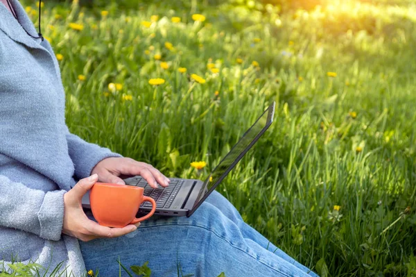 Woman Laptop Lawn Doing Business Summing Quarterly Report Idea Effective — Fotografia de Stock