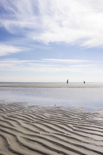 Ebbe auf der Ostsee — Stockfoto