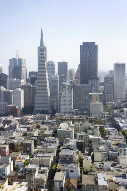 san francisco şehir