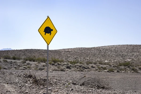 Kaplumbağa! yol uyarı levhası — Stok fotoğraf