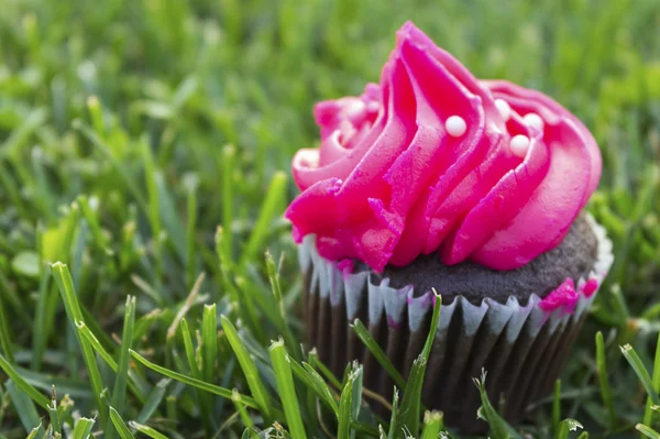 Chocolate muffin with Pink Cream — Stock Photo, Image