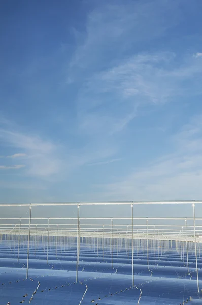 Zonne-energie veld achtergrond — Stockfoto