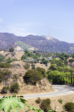 Beverly Hills'den çekilen hollywood sign