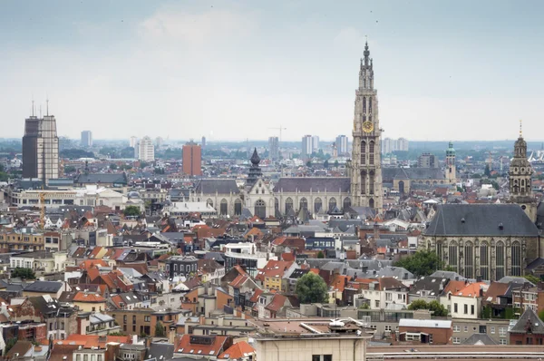 Antwerp ufuk çizgisi — Stok fotoğraf