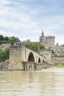 Bridge and Cathedral, Avignon, France clipart