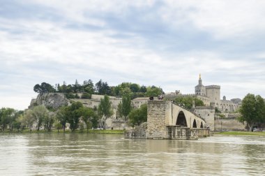 Bridge and Cathedral, Avignon, France clipart