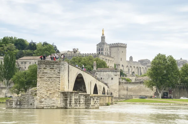 Ponte e Cattedrale, Avignone, Francia — Foto Stock